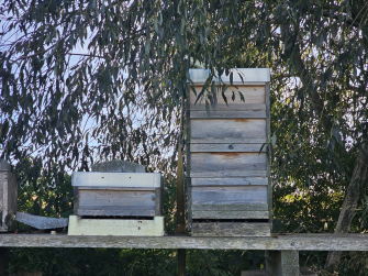 Foto-Bienenstock-fuer-Box-Workshops.jpg